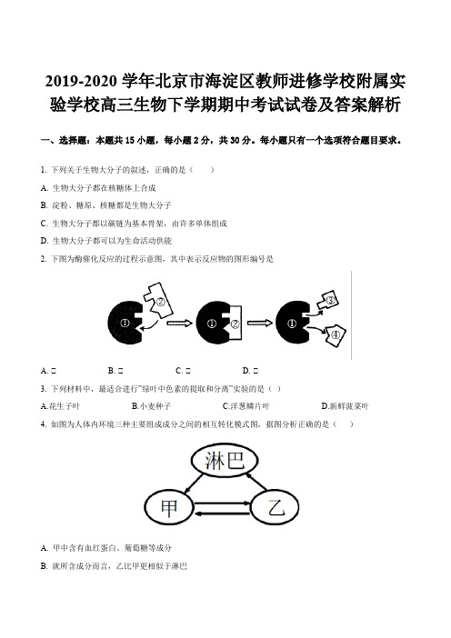 2019-2020学年北京市海淀区教师进修学校附属实验学校高三生物下学期期中考试试卷及答案解析