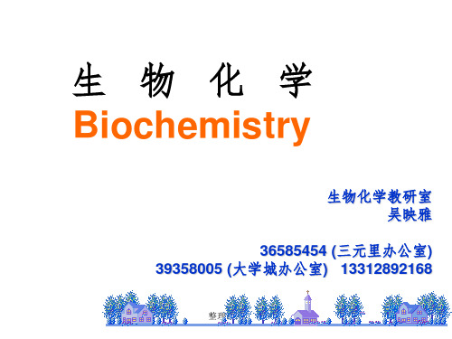 《生物化学》PPT课件