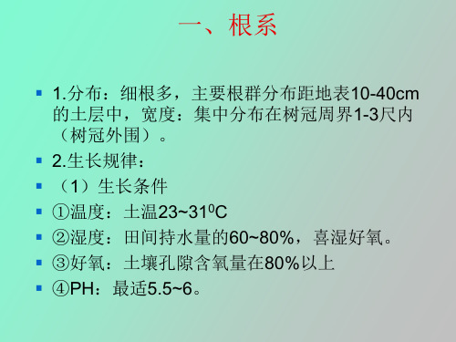 柑桔的生长特性