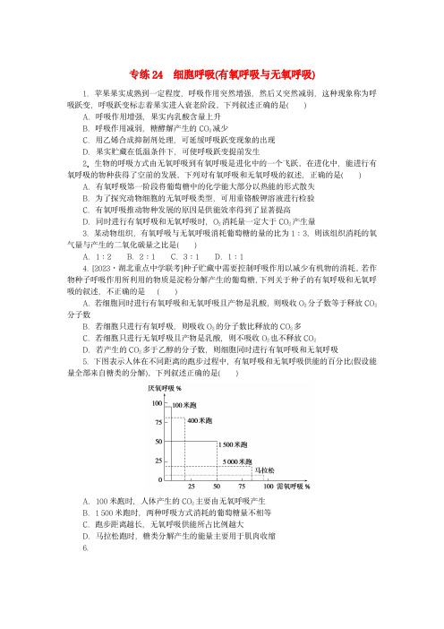 新高考2024版高考生物一轮复习：细胞呼吸(有氧呼吸与无氧呼吸)