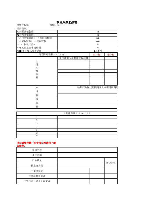 项目跟踪汇报表