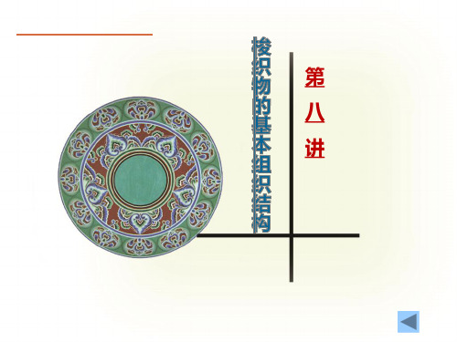 第八讲 三原组织