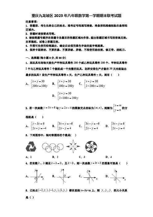 重庆九龙坡区2023年八年级数学第一学期期末联考试题【含解析】