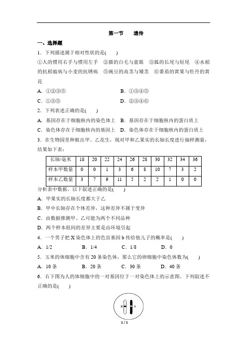 《遗传》同步练习1