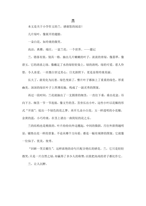 兰_小学作文