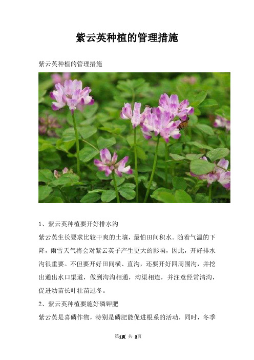 紫云英种植的管理措施