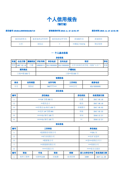 2019银行征信(银行版)个人报告样本