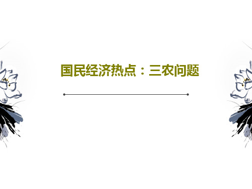 国民经济热点：三农问题17页PPT