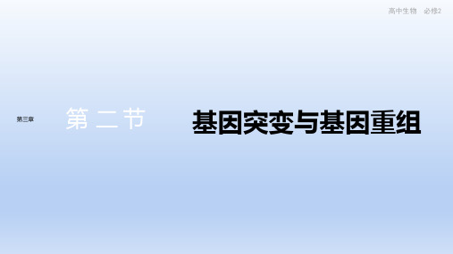 新教材-高中生物学-配套江苏版教材-第三章 第二节 基因突变和基因重组