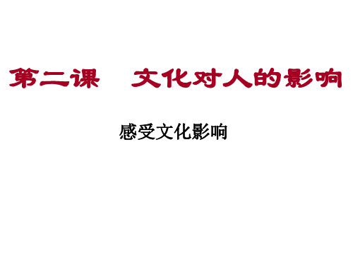 高二政治感受文化影响2