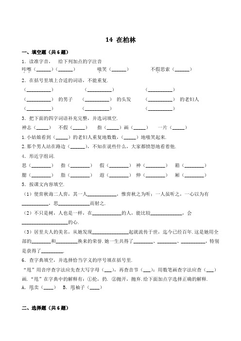 六年级语文上册14 在柏林(含答案)