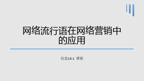 网络流行语在网络营销中的应用