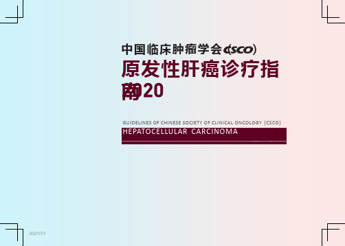 2021CSCO原发性肝癌诊疗指南