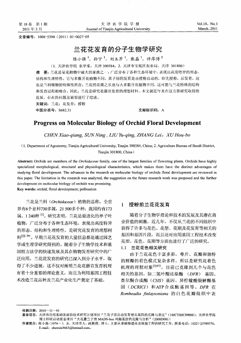 兰花花发育的分子生物学研究