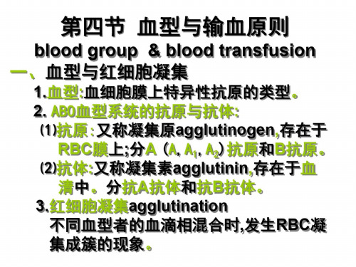 八年级生物输血与血型9