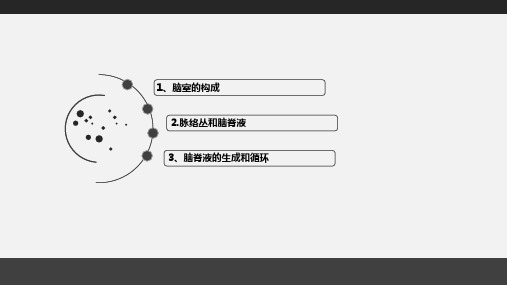 脑室系统和脑脊液循环