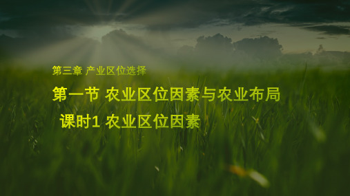 2022-2023学年湘教版高中地理必修二课件：3-1 农业区位因素与农业布局 (22张)