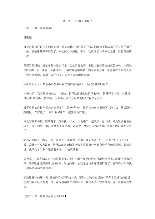 第一次干什么作文500字正式版