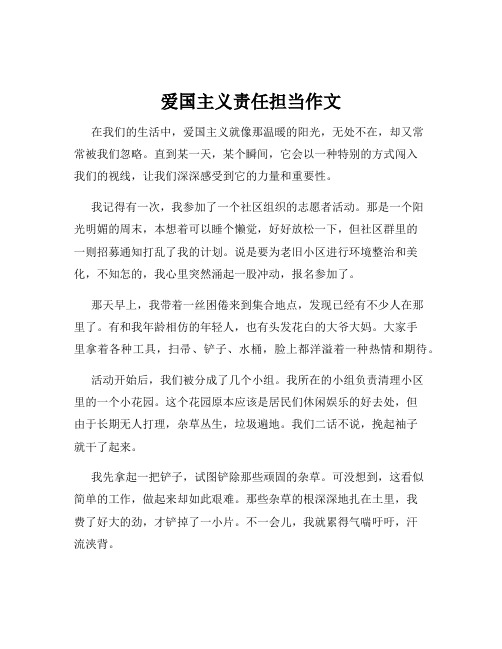 爱国主义责任担当作文