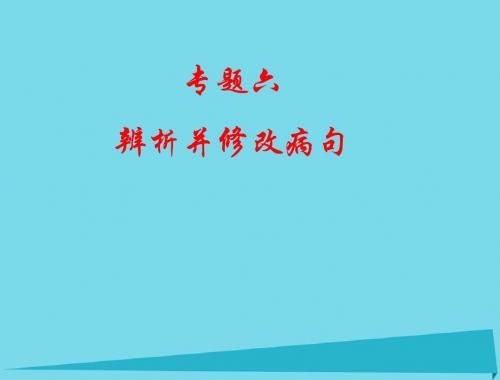 高考语文总复习 专题六 辨析并修改病句课件