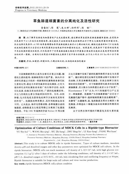 草鱼肠道细菌素的分离纯化及活性研究