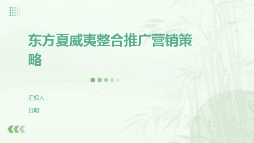 东方夏威夷整合推广营销策略.pptx