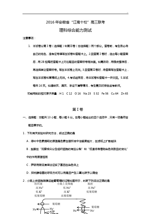 安徽地区江南十校2016年度高三下学期联考理科综合试题