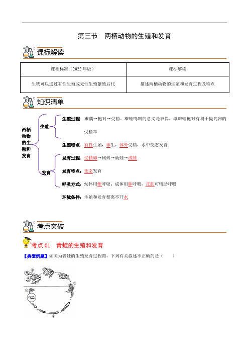 7.1.3  两栖动物的生殖和发育(教师版)-2024年秋季八年级下册生物同步讲义(人教版 )