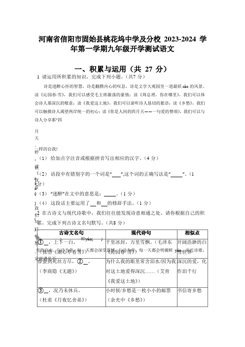 河南省信阳市固始县桃花坞中学及分校2023-2024学年九年级上学期开学考试语文试题