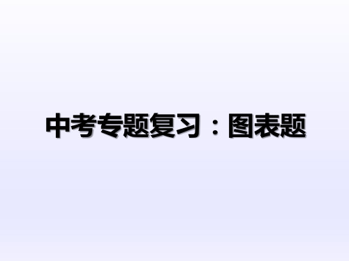 中考语文  图表题-陕西省石泉县池河中学九年级语文复习专题讲析 课件(共25张PPT)