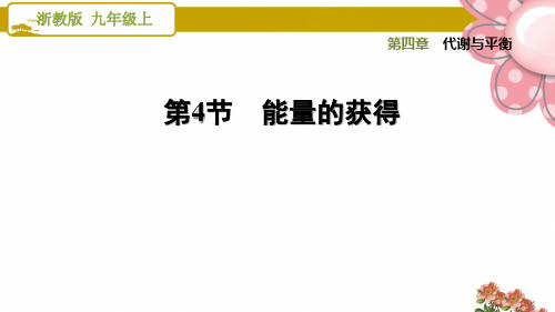 浙教版九年级科学上册4.4 能量的获得ppt课件