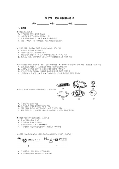 辽宁高一高中生物期中考试带答案解析
