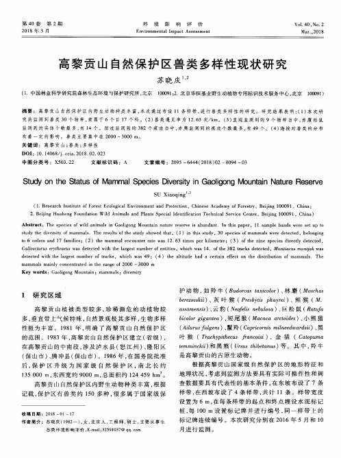 高黎贡山自然保护区兽类多样性现状研究