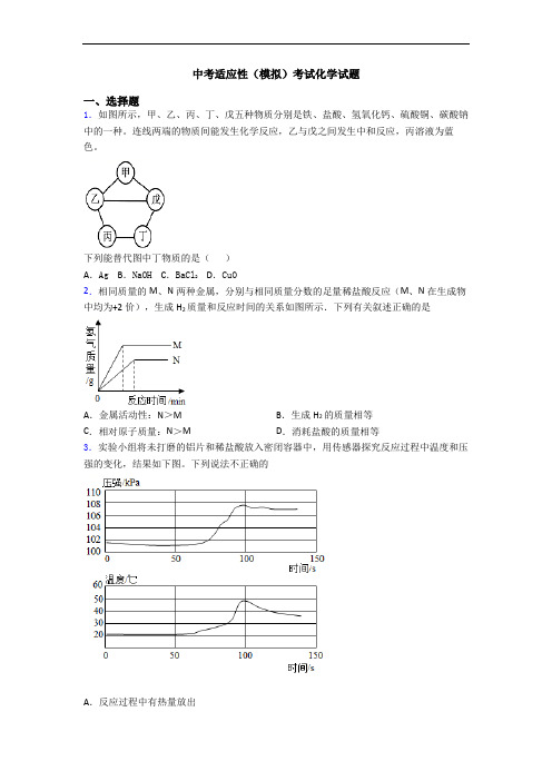 中考适应性(模拟)考试化学试题