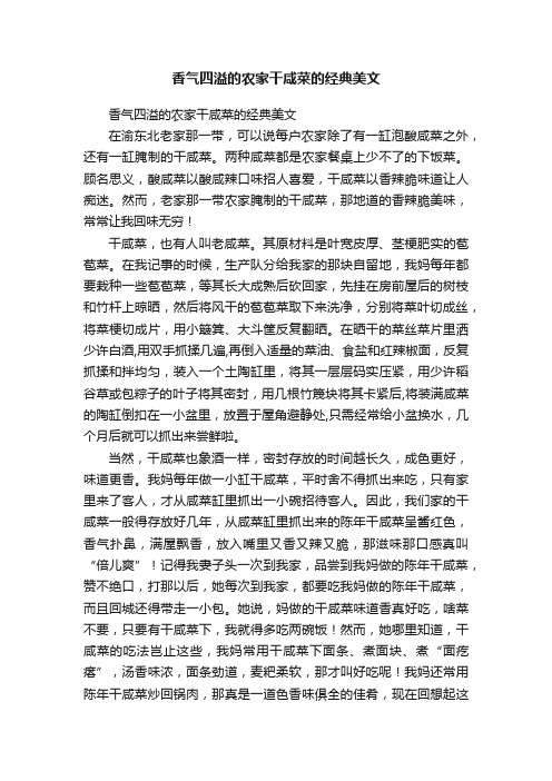 香气四溢的农家干咸菜的经典美文