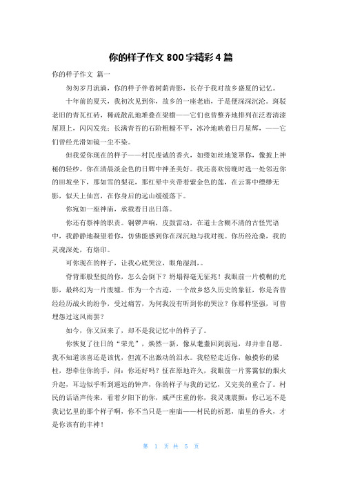 你的样子作文800字精彩4篇