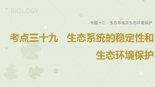 2023届高考生物一轮专题复习课件：生态系统的稳定性和生态环境保护 