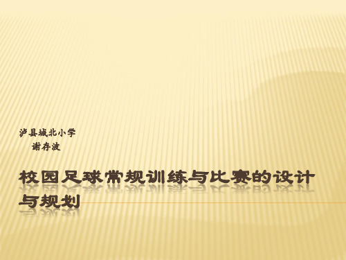 体育与健康人教六年级全一册校园足球常规训练与比赛的规划课件