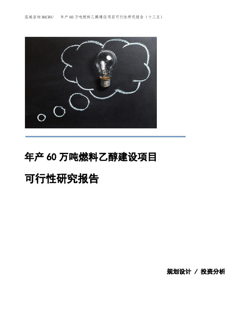 年产60万吨燃料乙醇建设项目可行性研究报告(十三五)