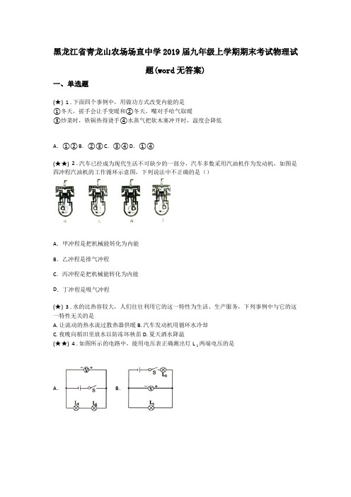 黑龙江省青龙山农场场直中学2019届九年级上学期期末考试物理试题(word无答案)