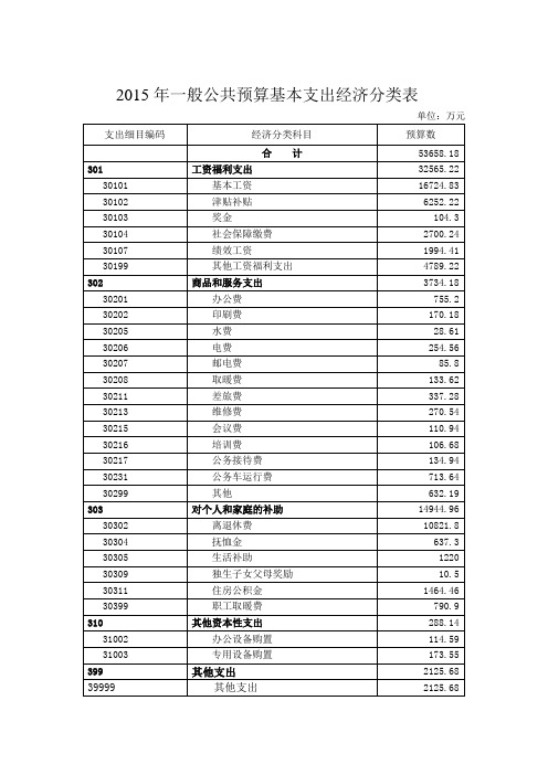 一般公共预算基本支出经济分类表