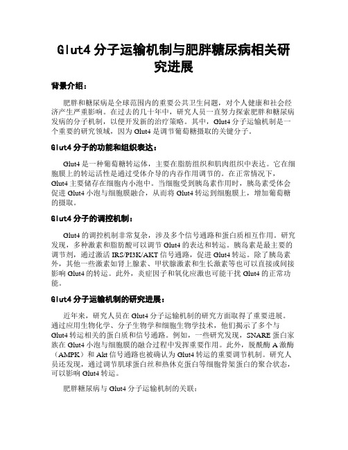 Glut4分子运输机制与肥胖糖尿病相关研究进展