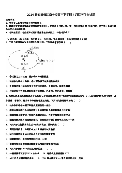 2024届安徽省江南十校高三下学期4月联考生物试题含解析