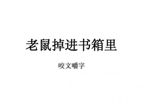 《咬文嚼字》ppt