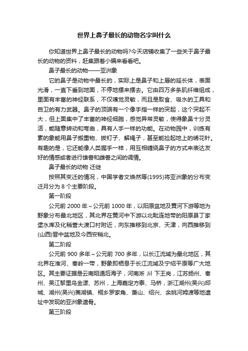 世界上鼻子最长的动物名字叫什么