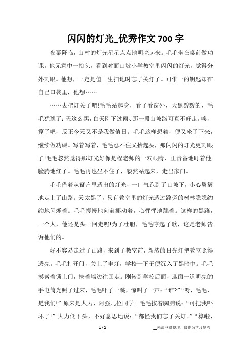 闪闪的灯光_优秀作文700字