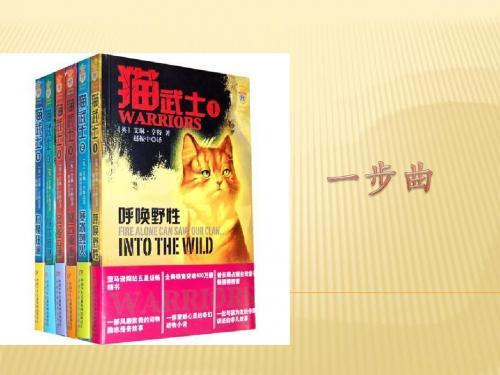 猫武士