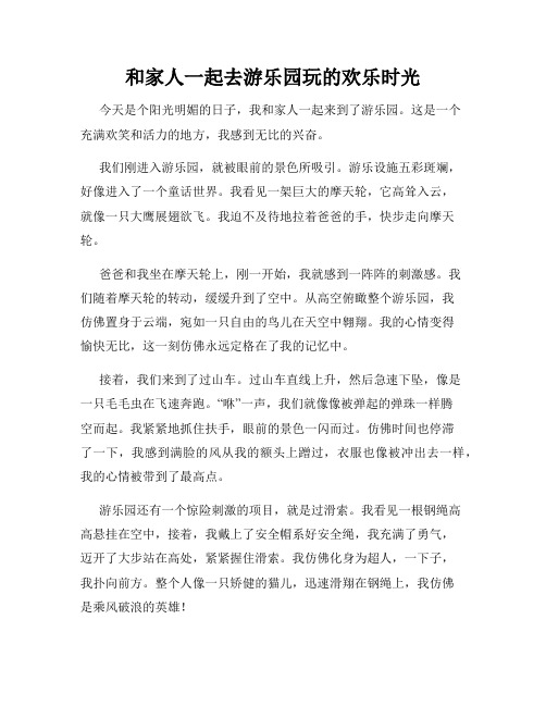 三年级作文那次玩得真高兴之和家人一起去游乐园玩的欢乐时光