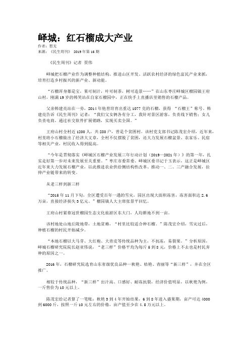 峄城：红石榴成大产业