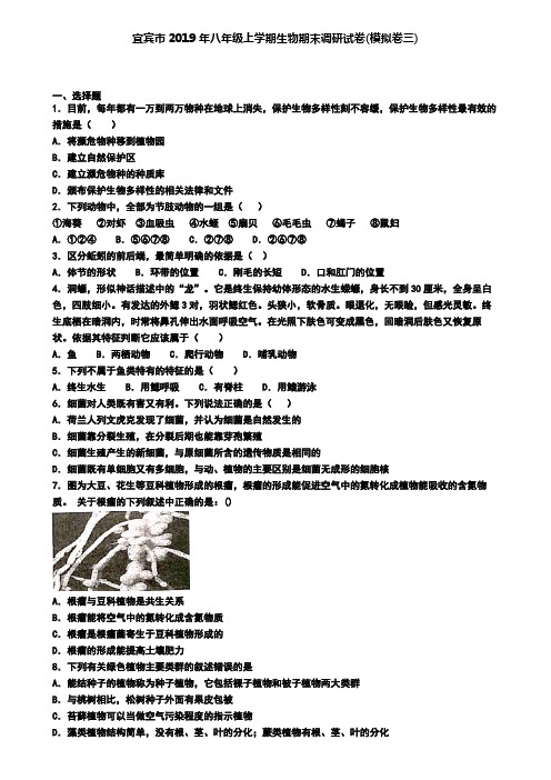 宜宾市2019年八年级上学期生物期末调研试卷(模拟卷三)